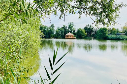 cabane ruche Domaine des Feuilles
