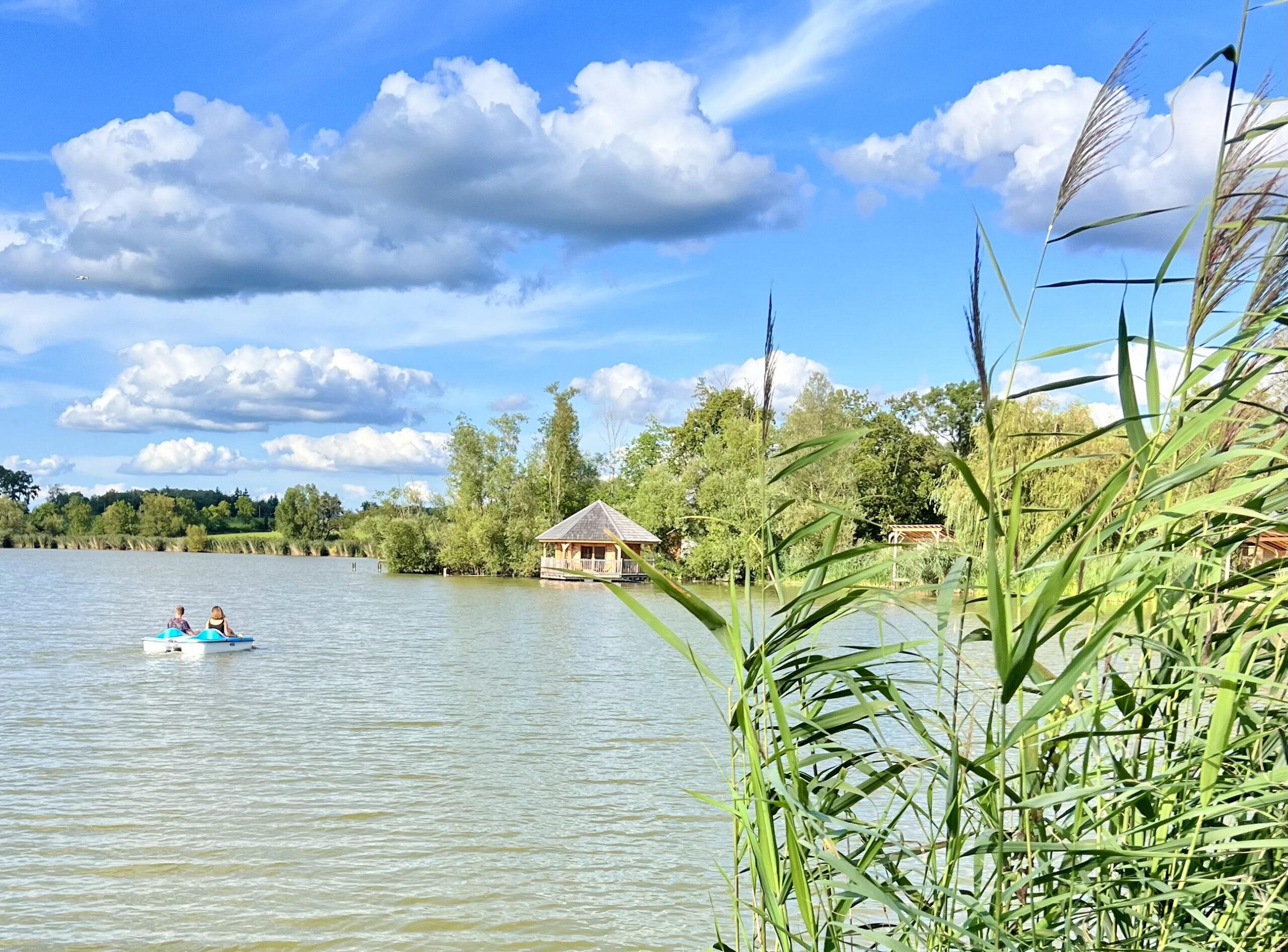 cabane ruche pedalo Domaine des Feuilles