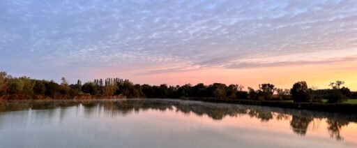 vue cabane domaine des feuilles