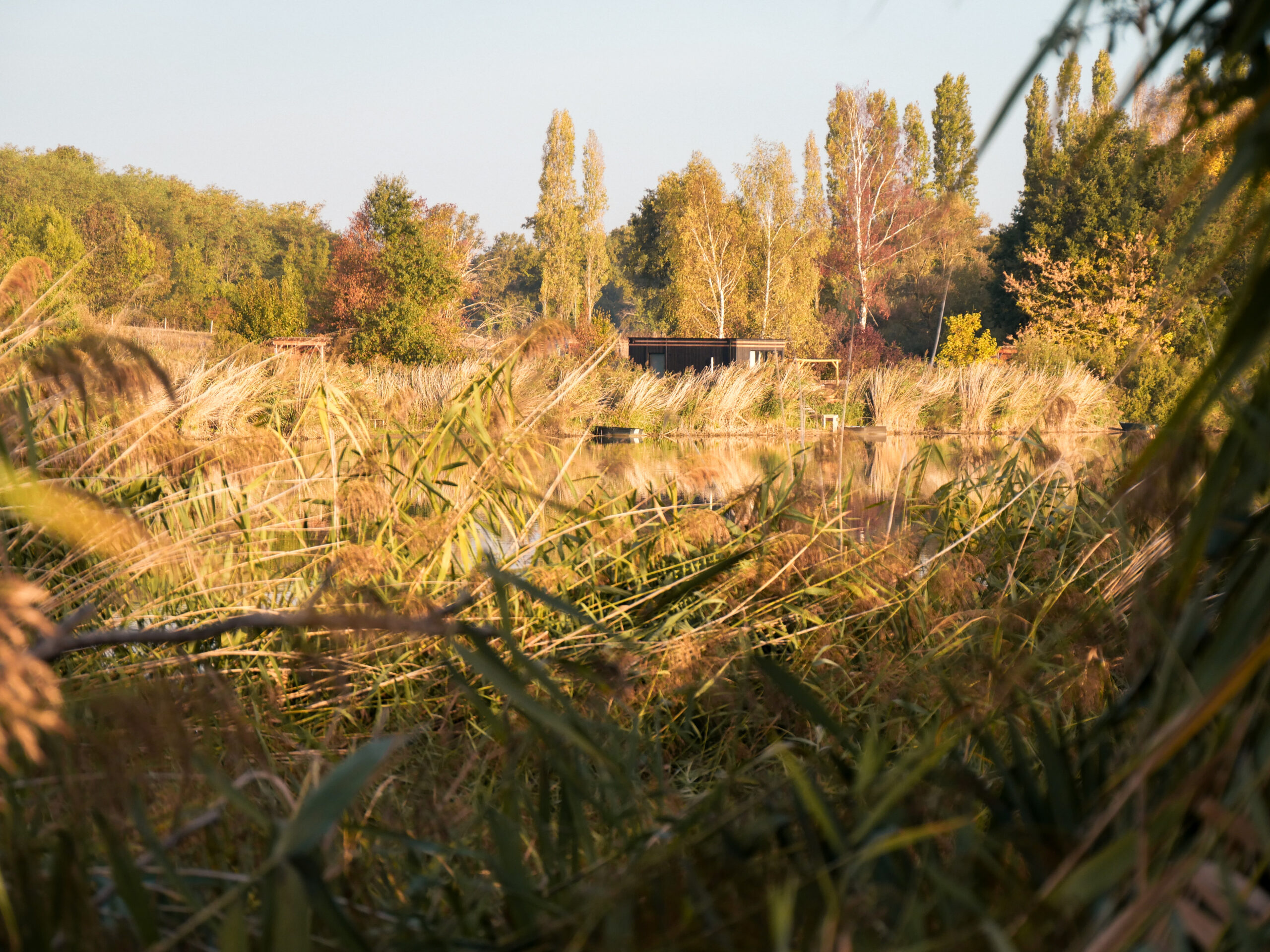 Un séjour en Automne